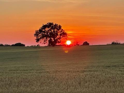 Badefols-sur-Dordogne Les Cypres De Crose I 빌라 외부 사진