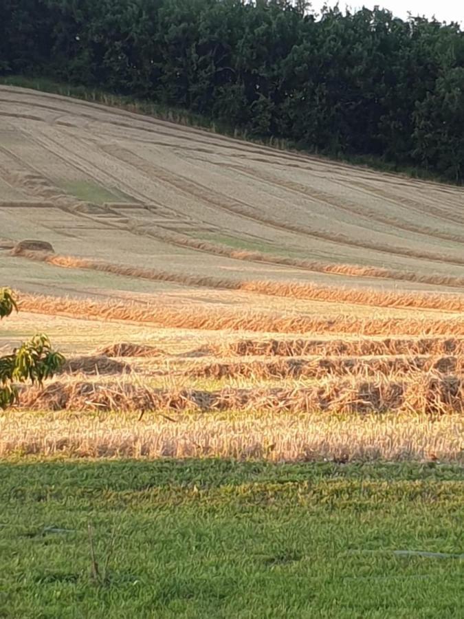 Badefols-sur-Dordogne Les Cypres De Crose I 빌라 외부 사진