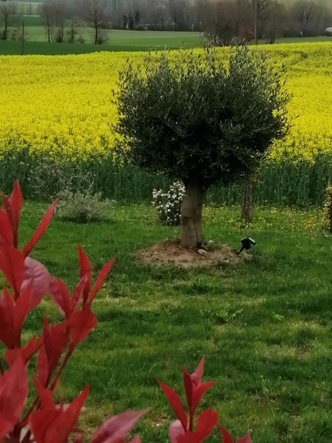 Badefols-sur-Dordogne Les Cypres De Crose I 빌라 외부 사진