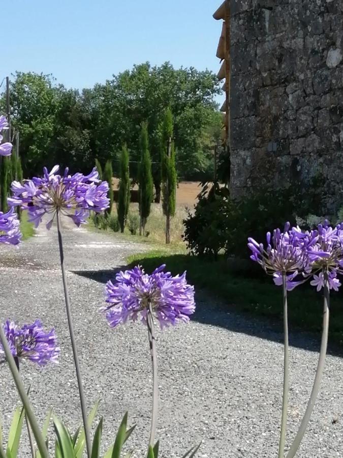 Badefols-sur-Dordogne Les Cypres De Crose I 빌라 외부 사진