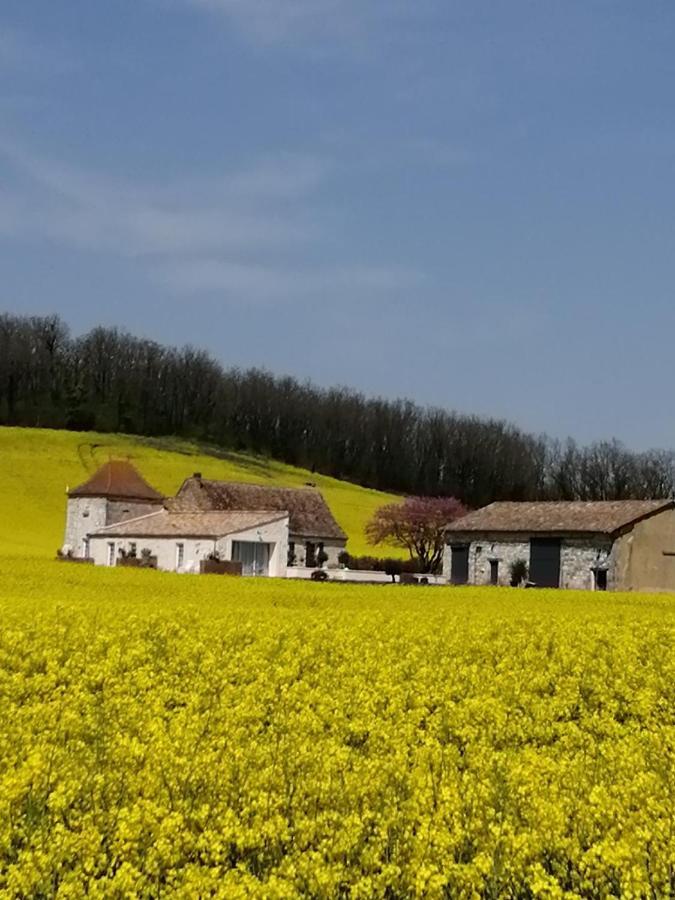 Badefols-sur-Dordogne Les Cypres De Crose I 빌라 외부 사진